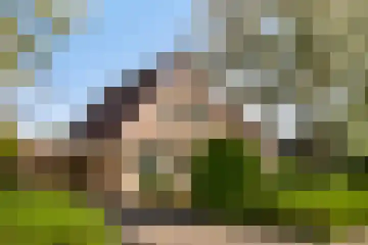 Anna van Egmondlaan 4 Zierikzee thumbnail 54