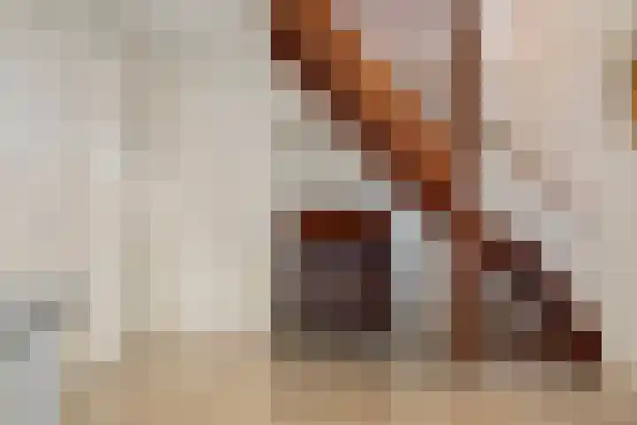 Anna van Egmondlaan 4 Zierikzee thumbnail 6