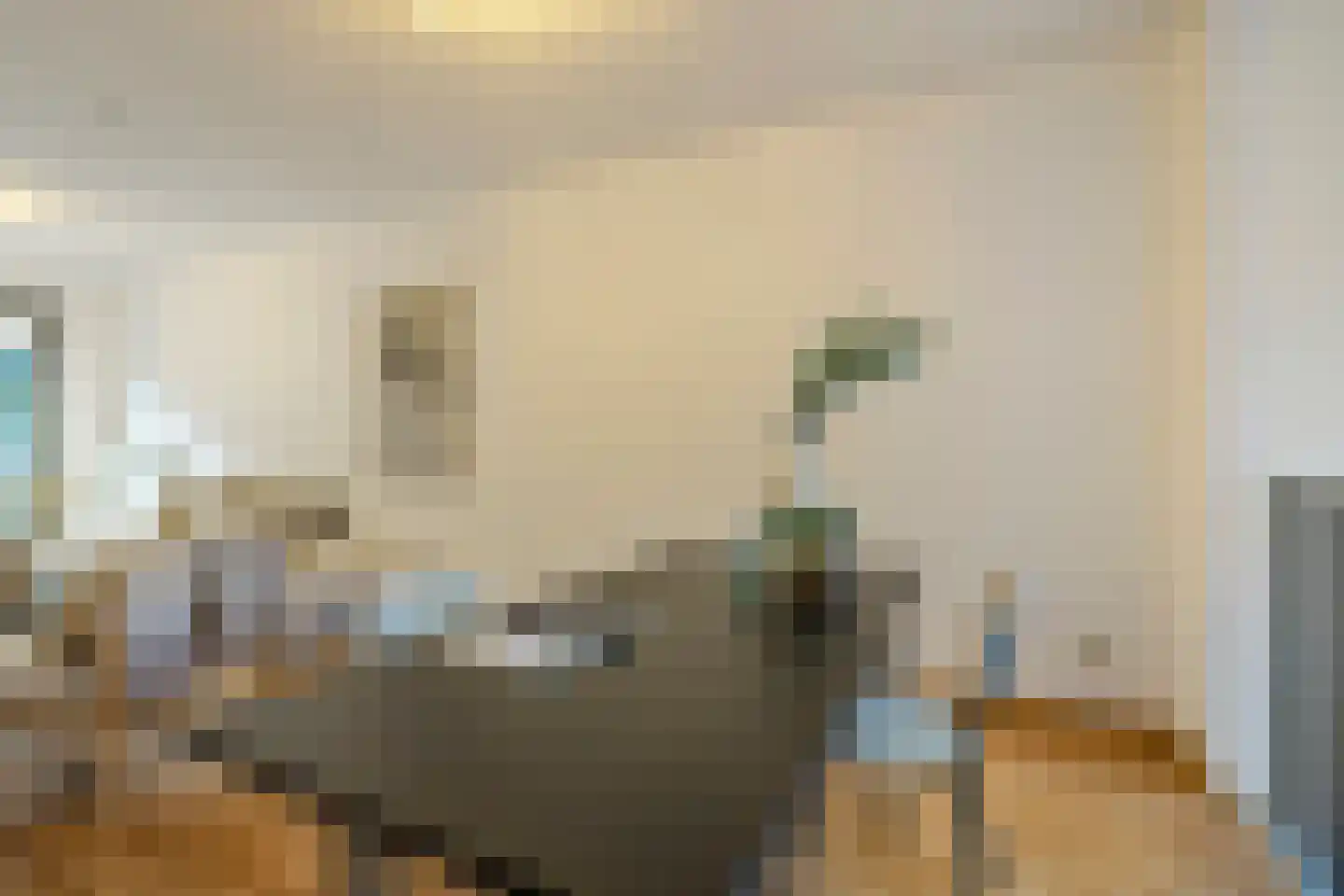 Anna van Egmondstraat 8 Eindhoven thumbnail 21