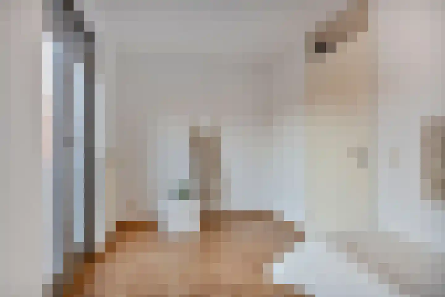 Anna van Egmondstraat 8 Eindhoven thumbnail 28