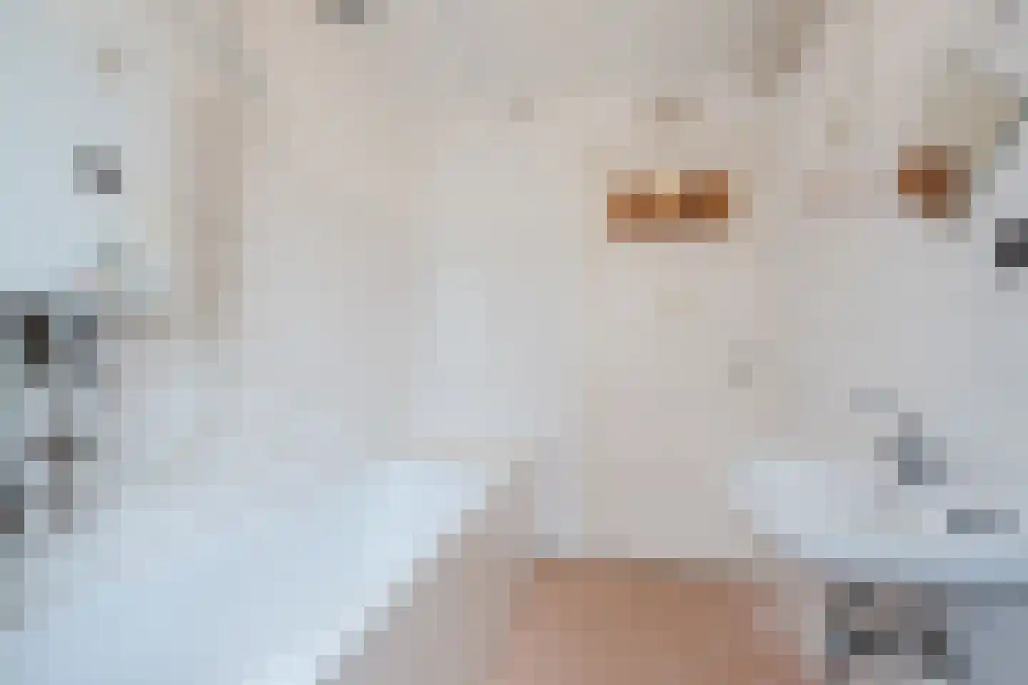 Anna van Engelandstraat 21 Eindhoven thumbnail 21