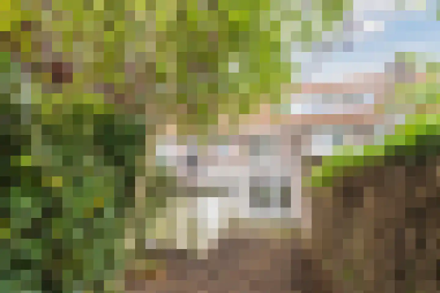 Anna van Engelandstraat 21 Eindhoven thumbnail 31