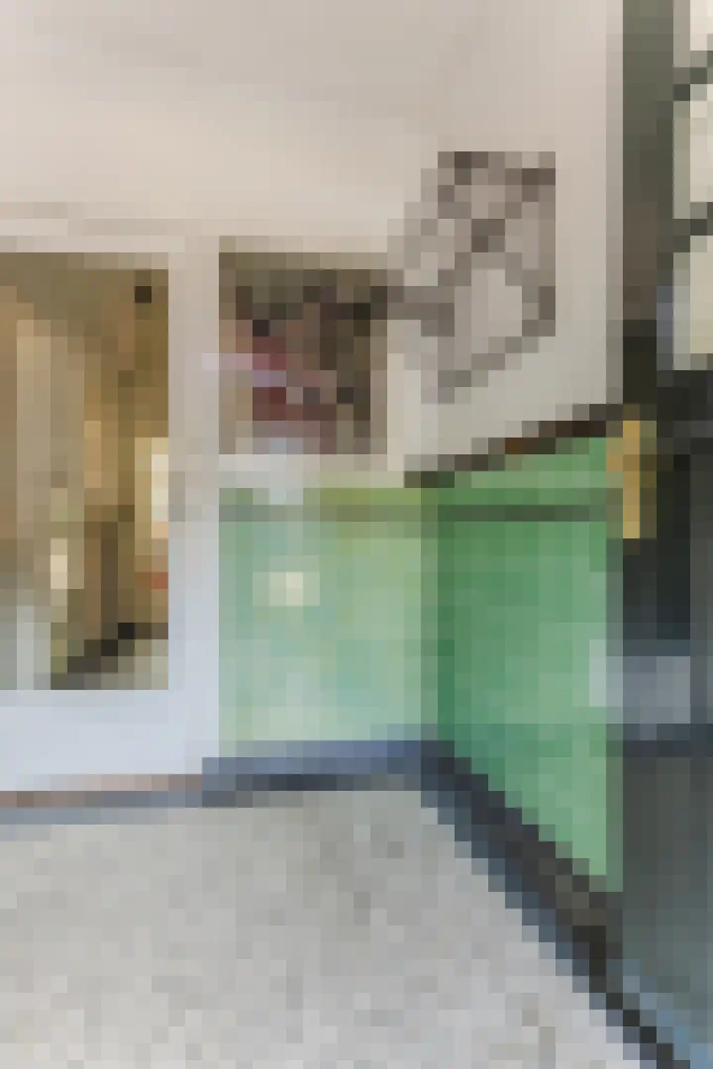 Anna van Engelandstraat 25 Eindhoven thumbnail 10