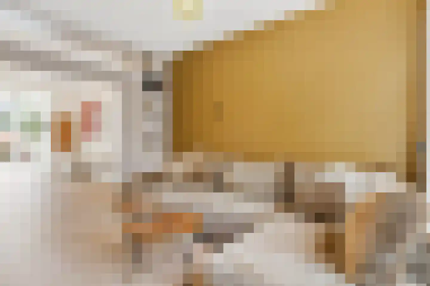 Anna van Engelandstraat 25 Eindhoven thumbnail 14