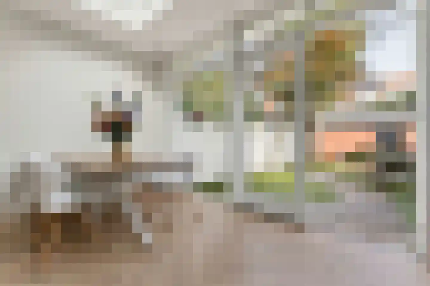 Anna van Engelandstraat 25 Eindhoven thumbnail 22