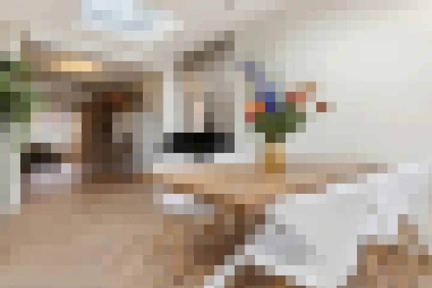 Anna van Engelandstraat 25 Eindhoven thumbnail 23