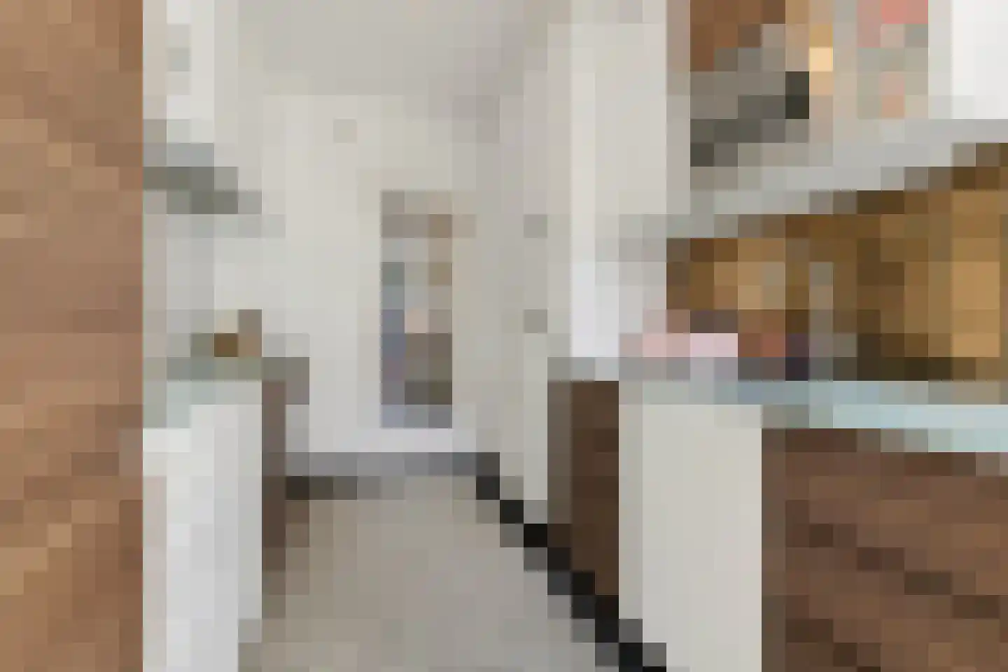 Anna van Engelandstraat 25 Eindhoven thumbnail 26