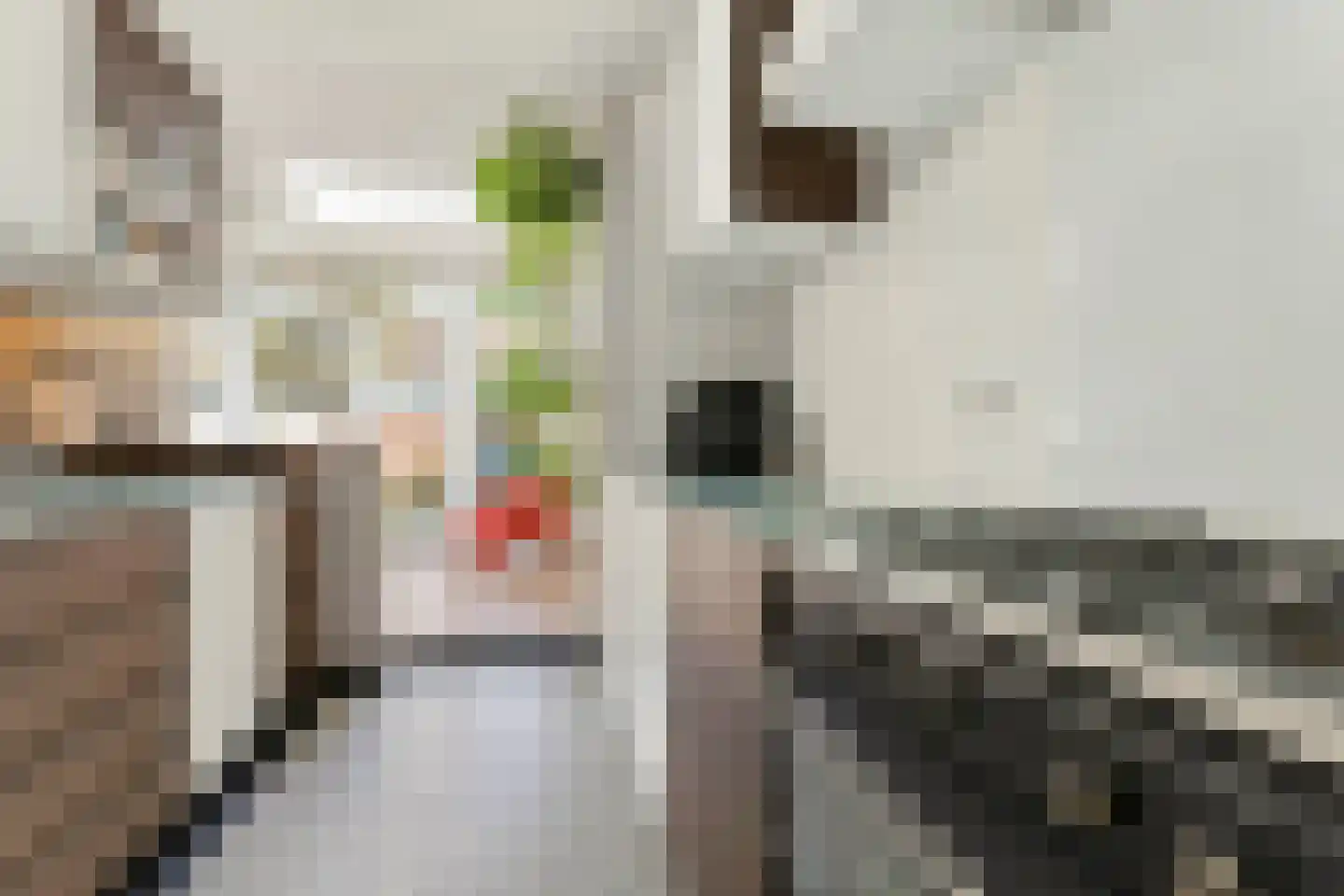 Anna van Engelandstraat 25 Eindhoven thumbnail 27