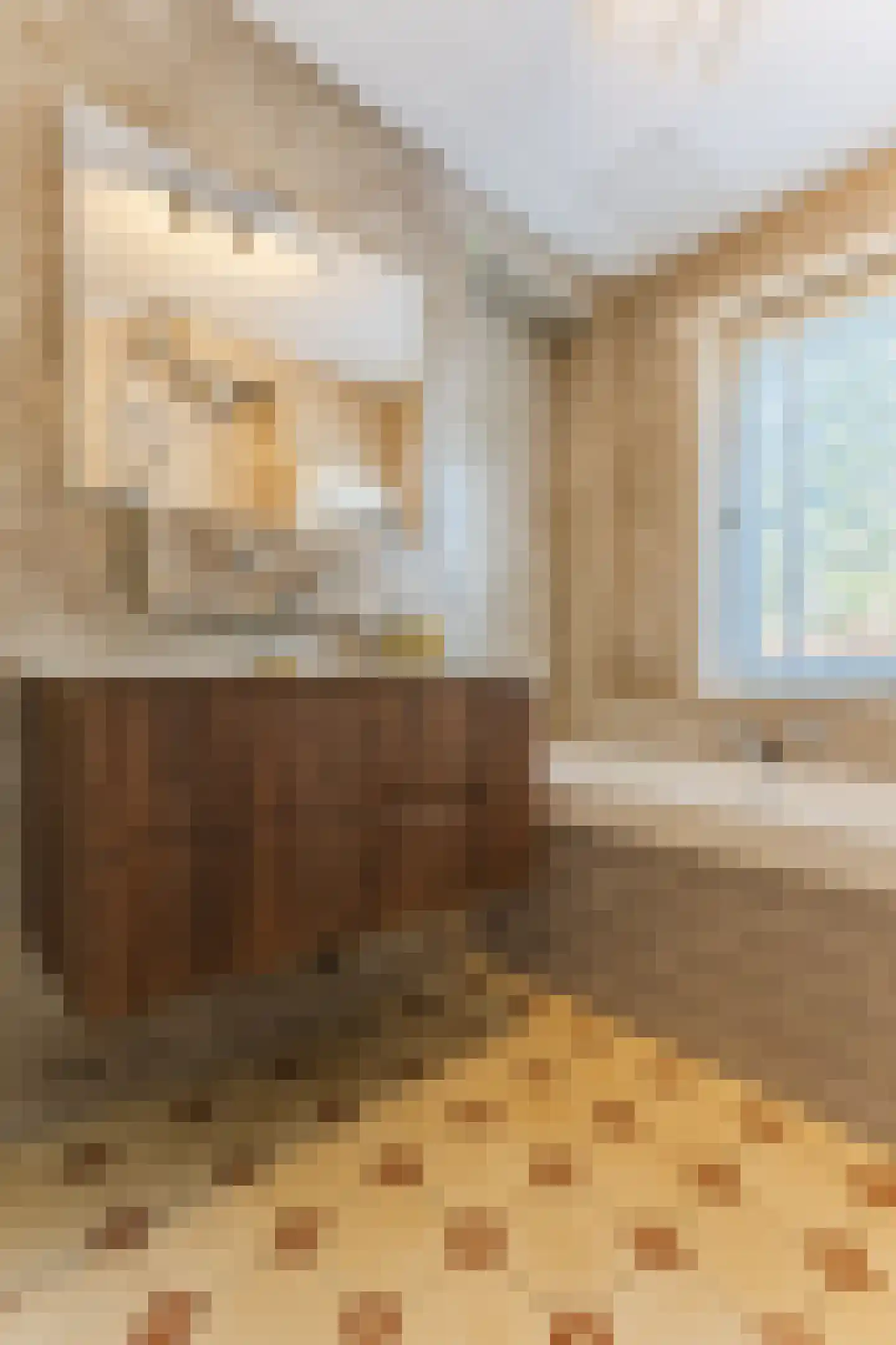Anna van Engelandstraat 25 Eindhoven thumbnail 37