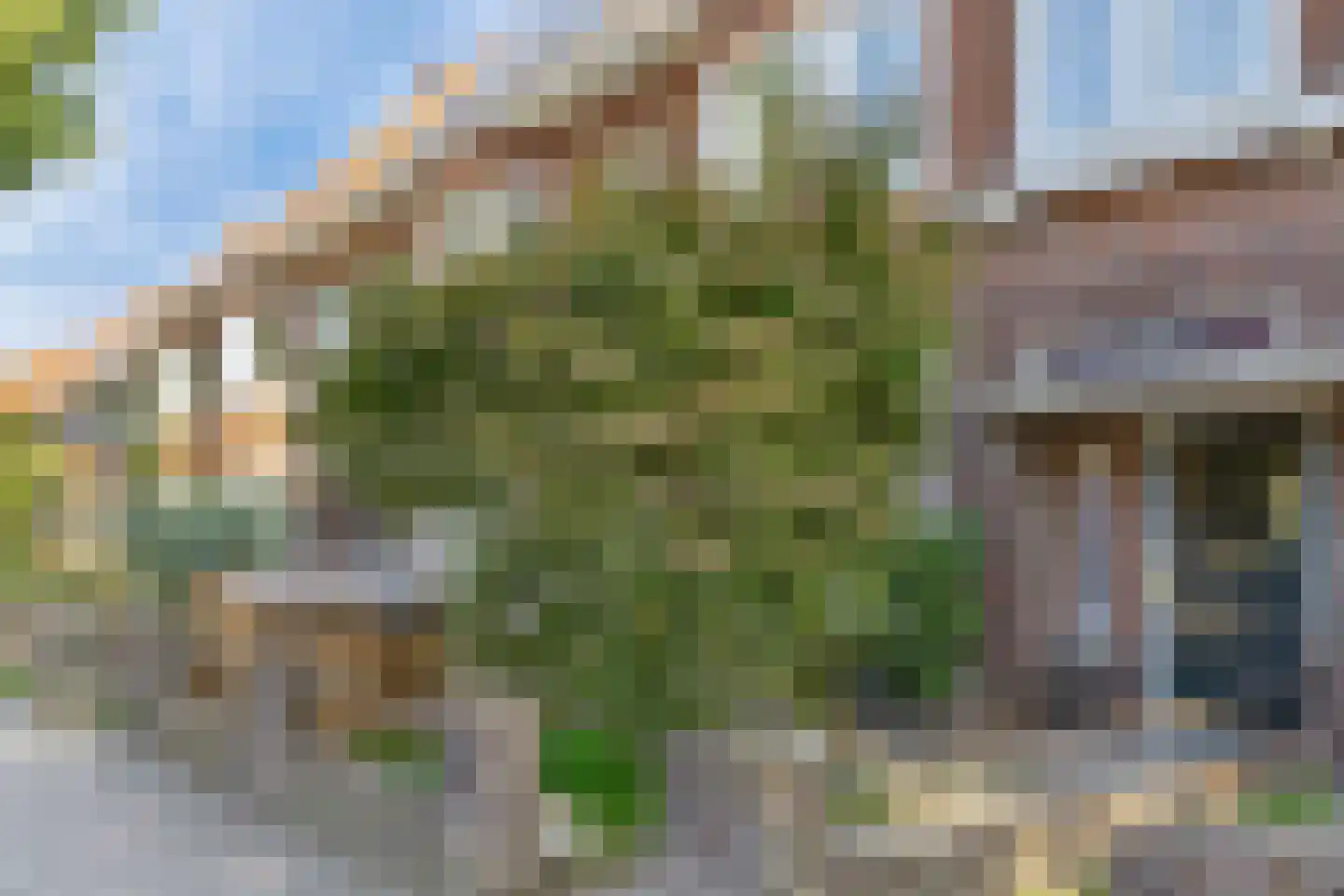 Anna van Engelandstraat 25 Eindhoven thumbnail 6