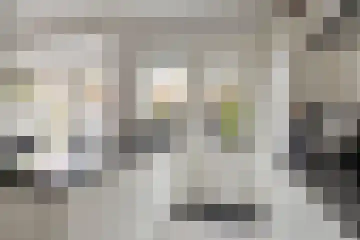 Anna van Engelandstraat 9 Eindhoven thumbnail 10