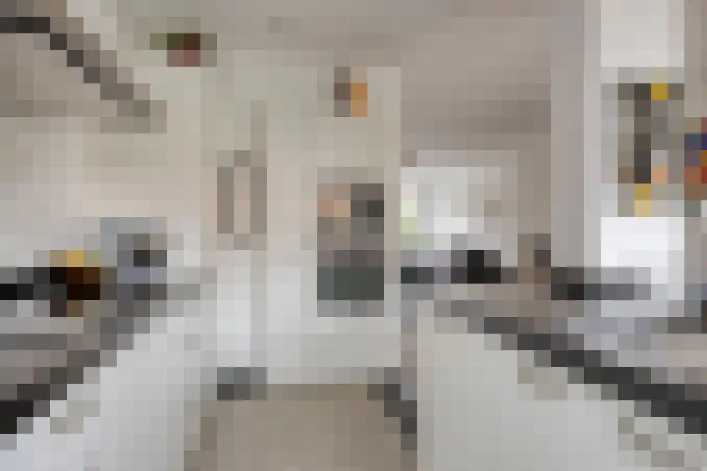 Anna van Engelandstraat 9 Eindhoven thumbnail 11