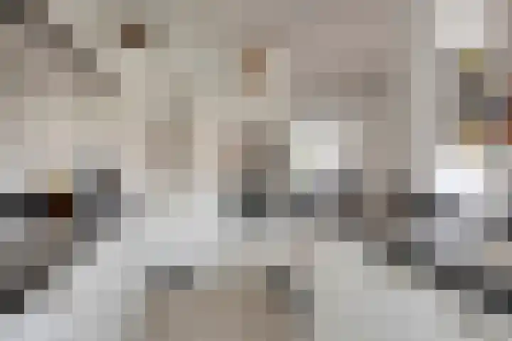 Anna van Engelandstraat 9 Eindhoven thumbnail 11