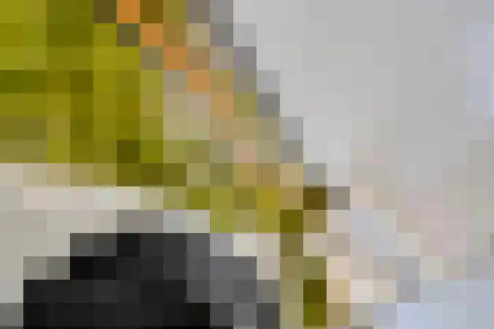 Anna van Engelandstraat 9 Eindhoven thumbnail 13
