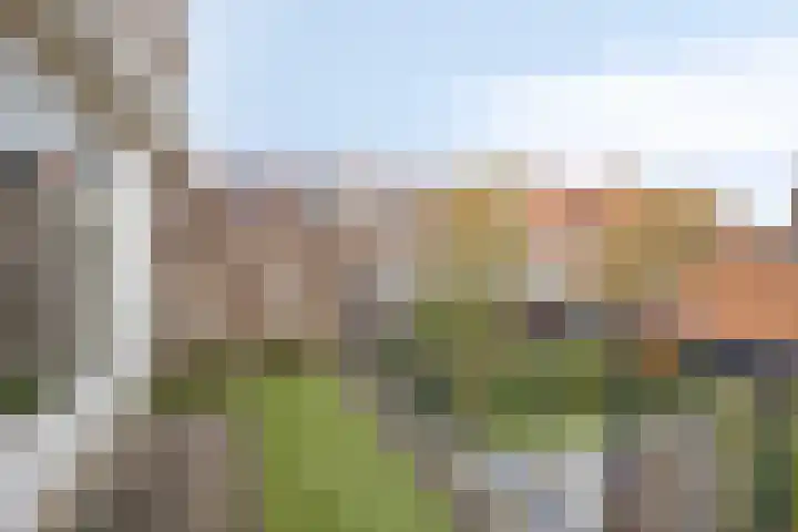 Anna van Engelandstraat 9 Eindhoven thumbnail 16