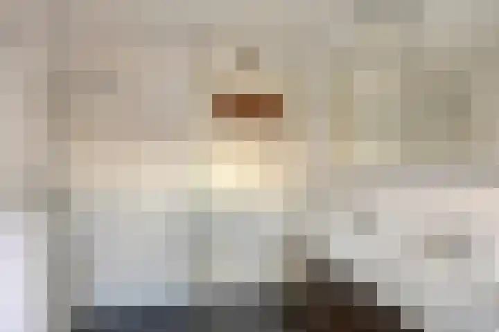Anna van Engelandstraat 9 Eindhoven thumbnail 21