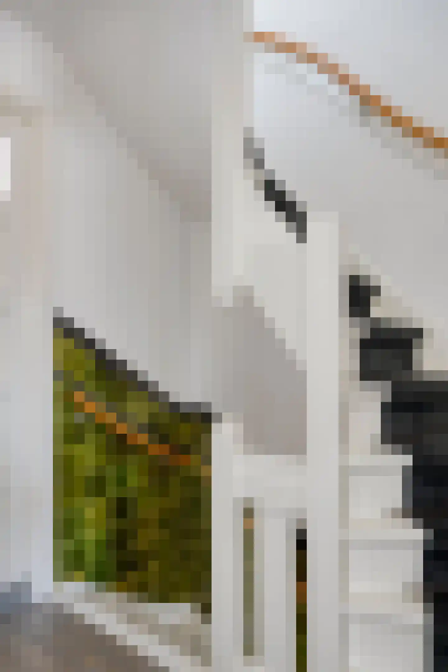 Anna van Engelandstraat 9 Eindhoven thumbnail 22