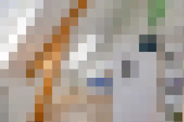 Anna van Engelandstraat 9 Eindhoven thumbnail 25