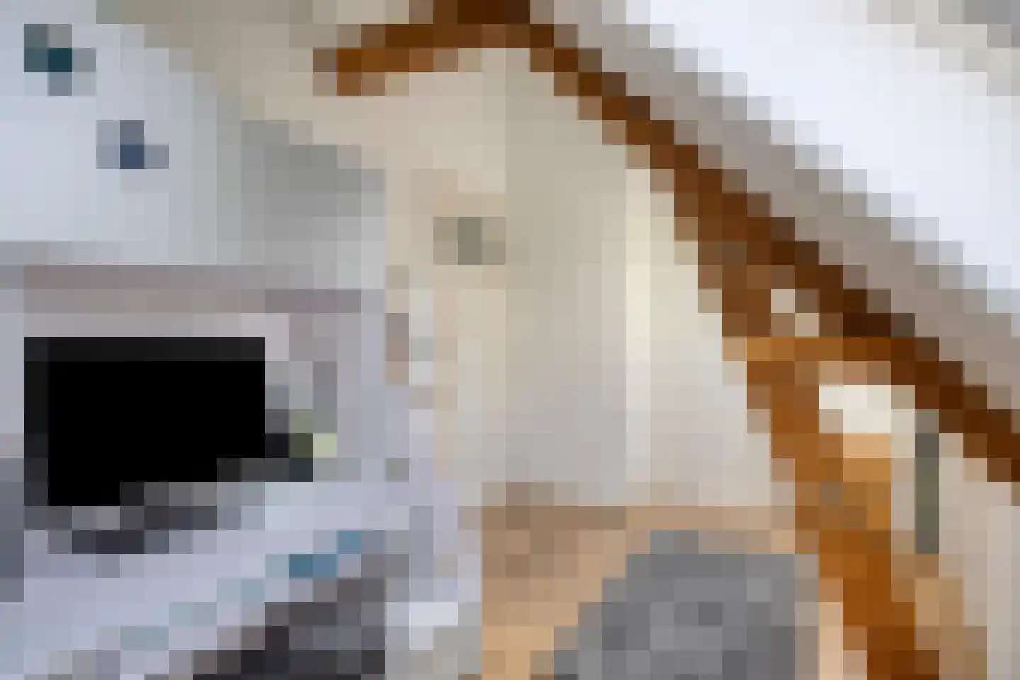 Anna van Engelandstraat 9 Eindhoven thumbnail 26