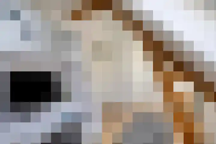 Anna van Engelandstraat 9 Eindhoven thumbnail 26