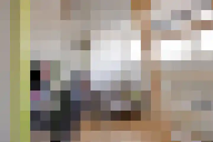 Anna van Engelandstraat 9 Eindhoven thumbnail 27