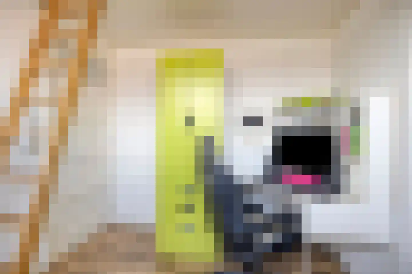 Anna van Engelandstraat 9 Eindhoven thumbnail 28