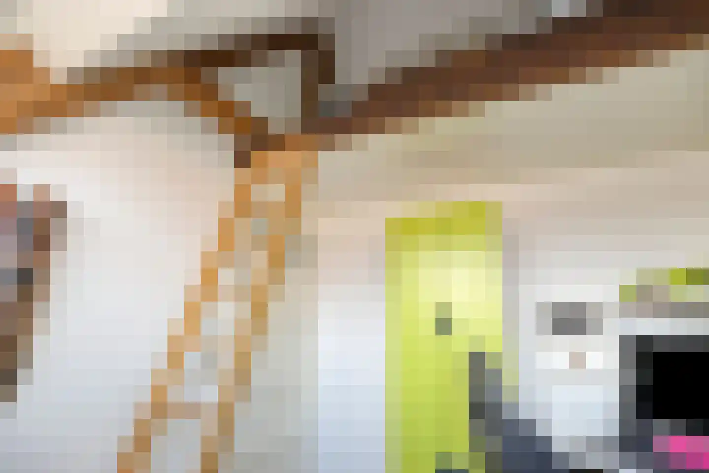 Anna van Engelandstraat 9 Eindhoven thumbnail 29