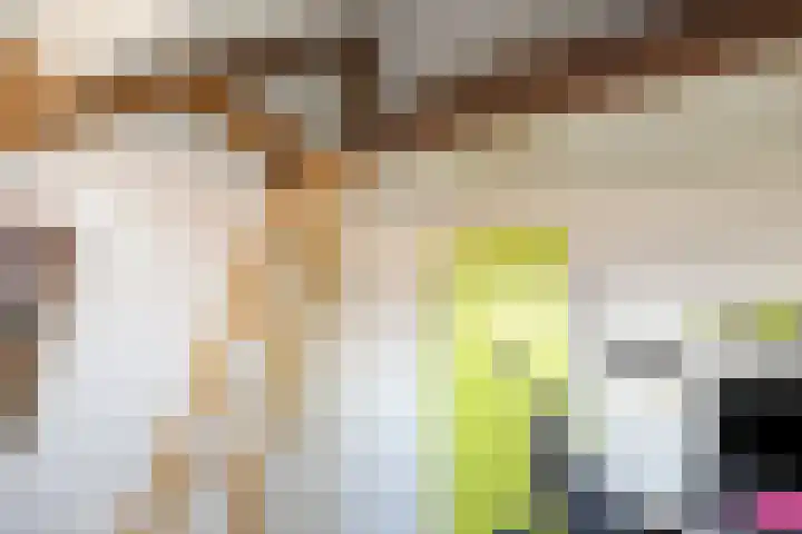 Anna van Engelandstraat 9 Eindhoven thumbnail 29