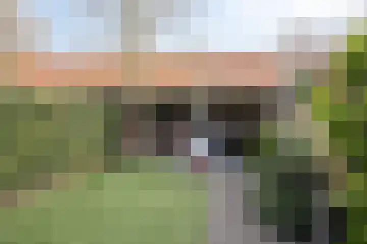 Anna van Engelandstraat 9 Eindhoven thumbnail 31