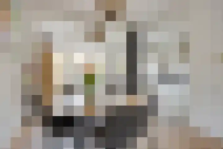 Anna van Engelandstraat 9 Eindhoven thumbnail 6