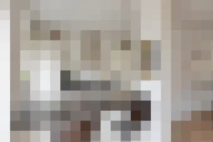 Anna van Engelandstraat 9 Eindhoven thumbnail 8