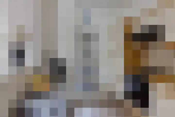 Anna van Ewsumstraat 11 Leek thumbnail 12