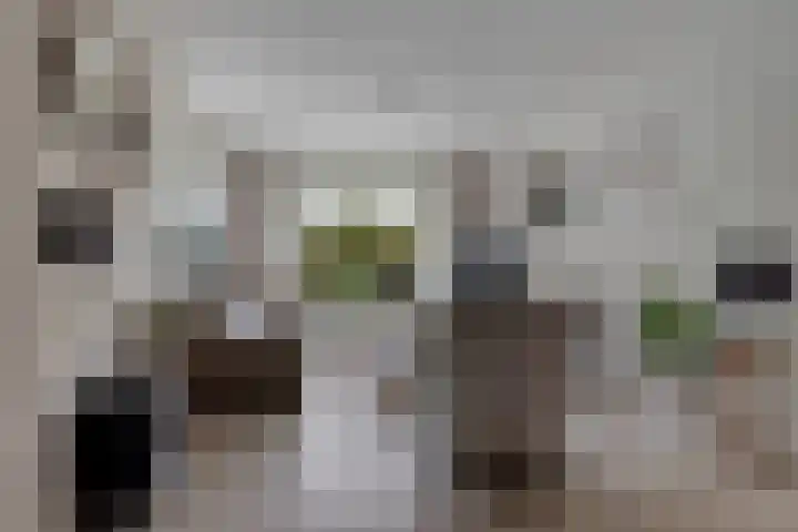 Anna van Ewsumstraat 11 Leek thumbnail 7