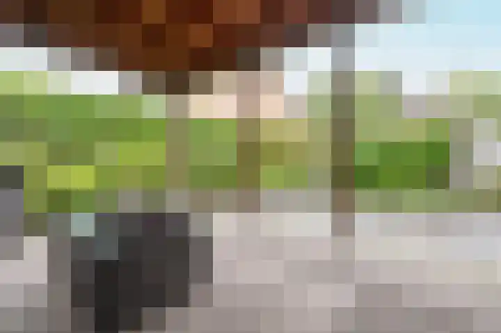 Anna van Gelrestraat 16 Putten thumbnail 29