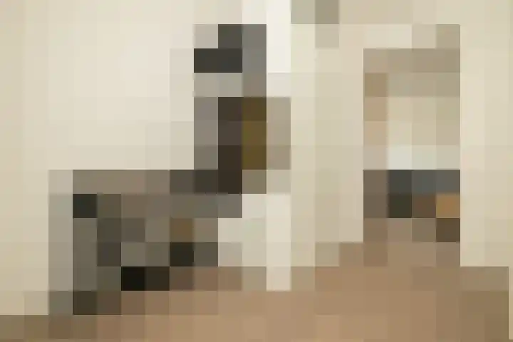 Anna van Hannoverlaan 7 Wateringen thumbnail 8
