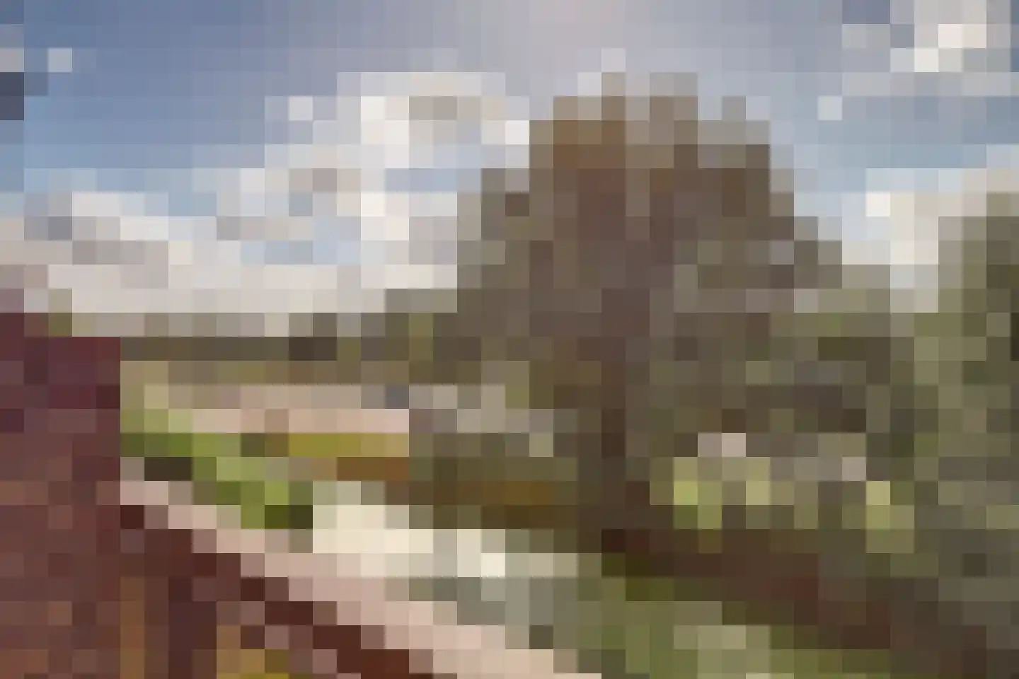 Anna van Hensbeeksingel 115 Gouda thumbnail 31