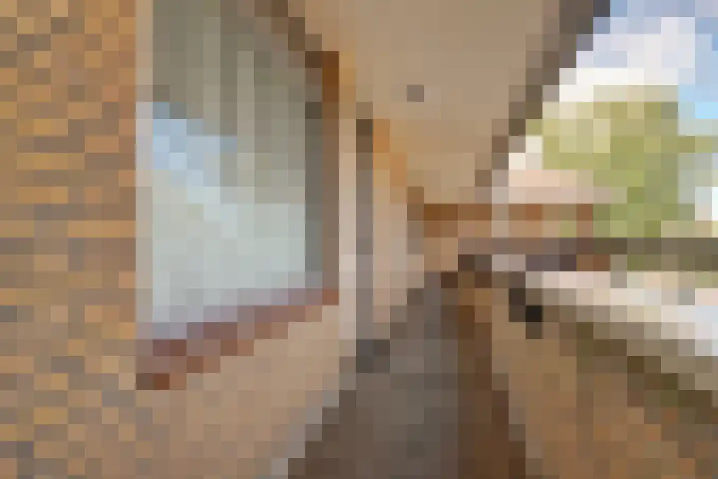 Anna van Hensbeeksingel 115 Gouda thumbnail 34