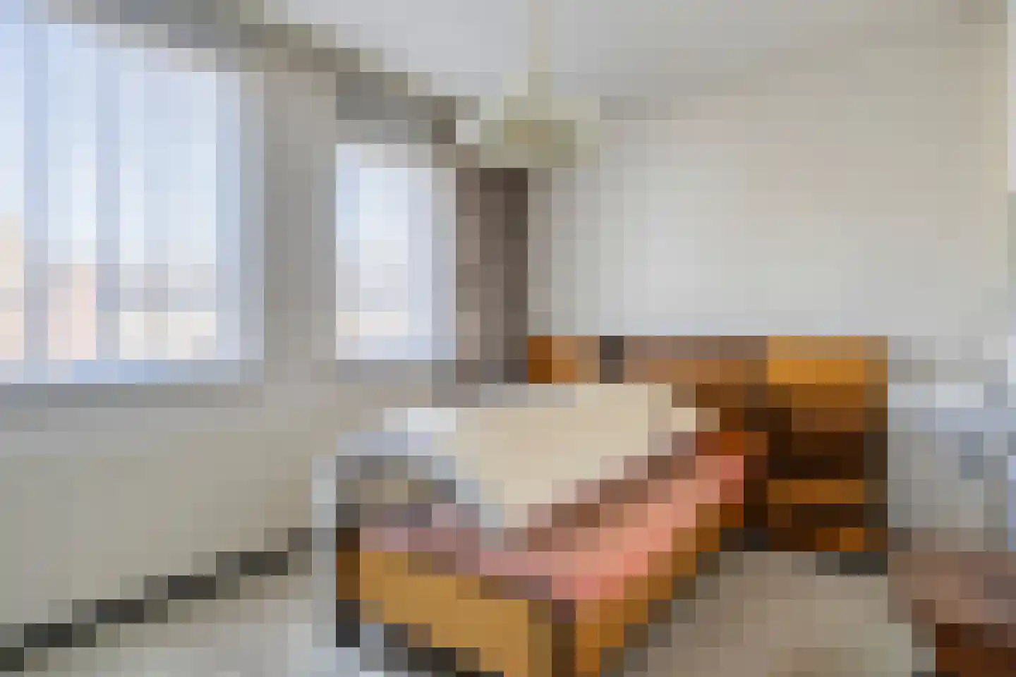 Anna van Hensbeeksingel 133 Gouda thumbnail 19