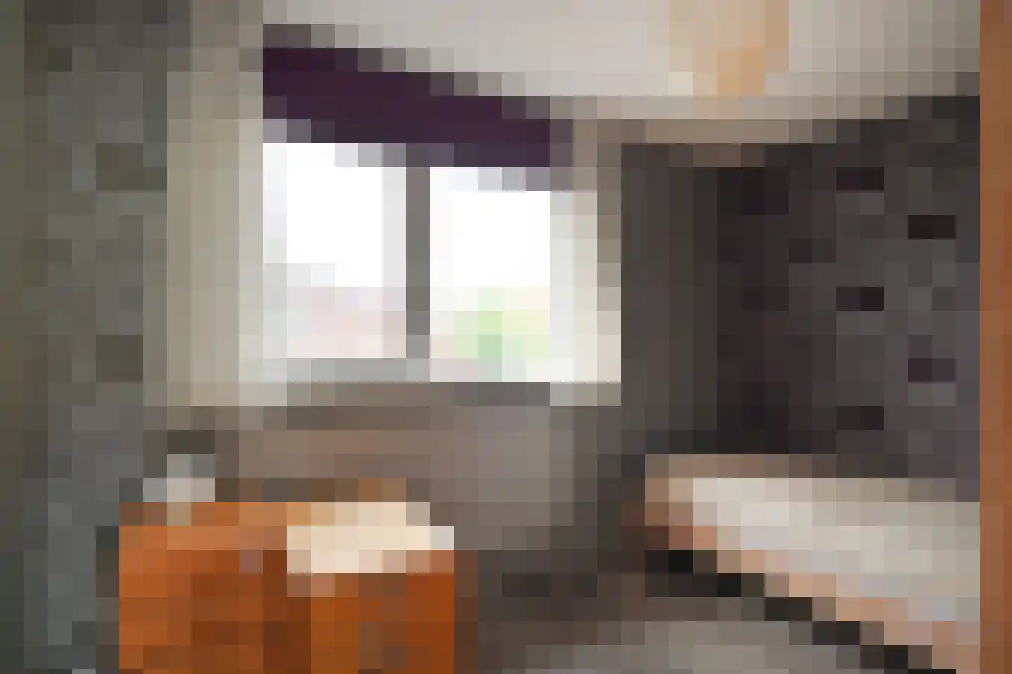 Anna van Hensbeeksingel 138 Gouda thumbnail 38