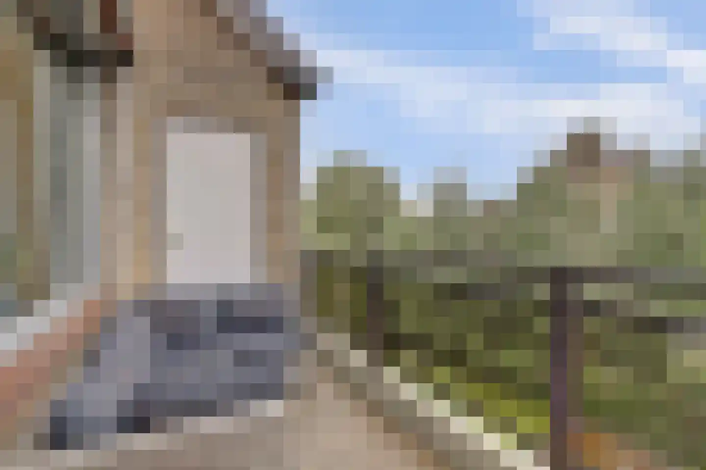 Anna van Hensbeeksingel 171 Gouda thumbnail 20