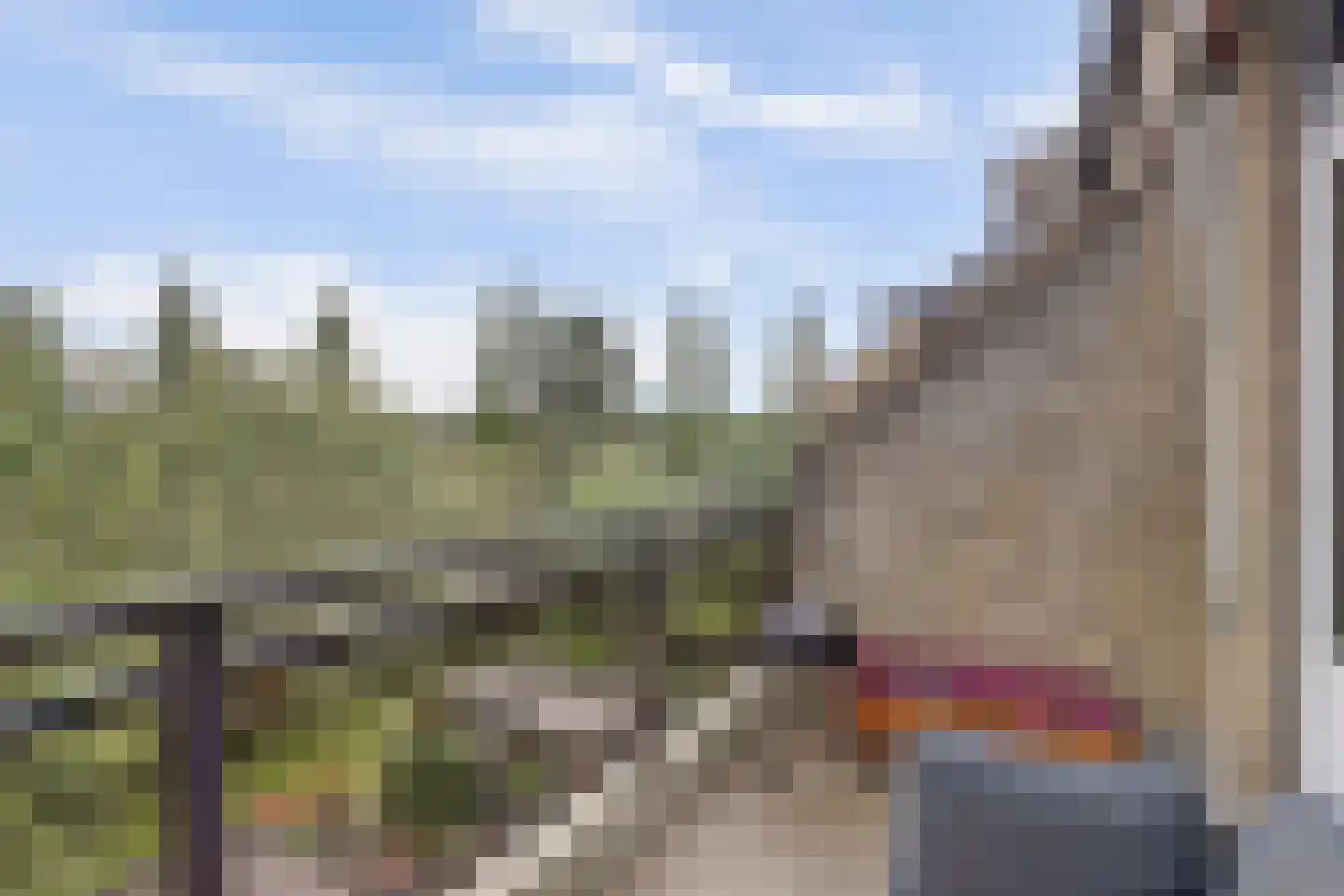 Anna van Hensbeeksingel 171 Gouda thumbnail 21