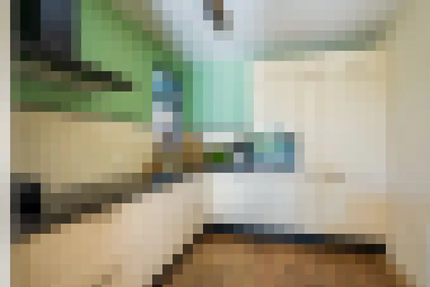 Anna van Hensbeeksingel 183 Gouda thumbnail 13