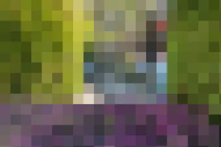Anna van Hensbeeksingel 183 Gouda thumbnail 20