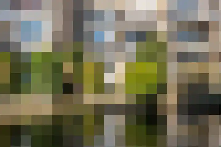 Anna van Hensbeeksingel 183 Gouda thumbnail 25
