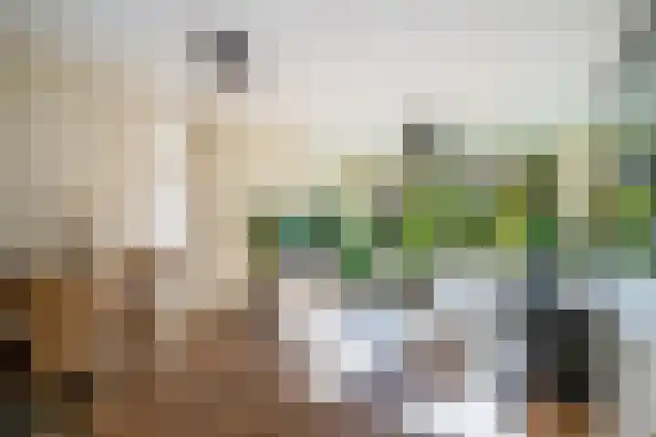 Anna van Hensbeeksingel 183 Gouda thumbnail 8