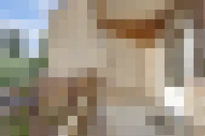 Anna van Hensbeeksingel 189 Gouda thumbnail 14