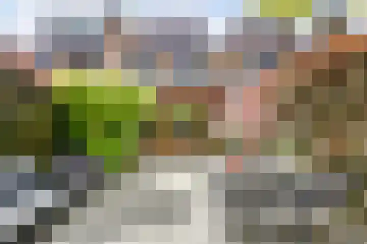 Anna van Hensbeeksingel 20 Gouda thumbnail 23
