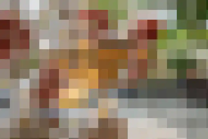 Anna van Hensbeeksingel 202 Gouda thumbnail 34