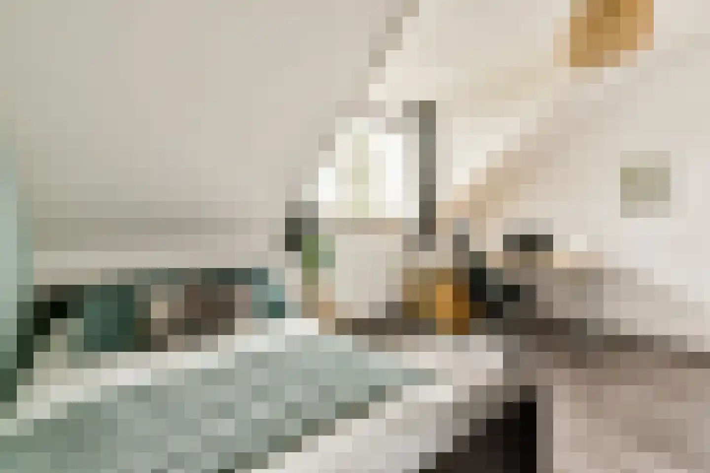 Anna van Hensbeeksingel 213 Gouda thumbnail 17