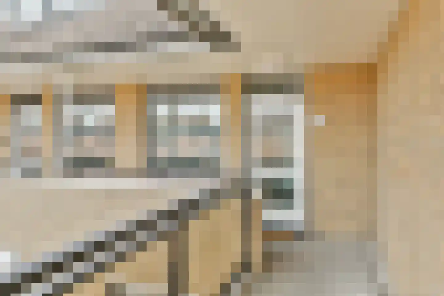 Anna van Hensbeeksingel 213 Gouda thumbnail 7